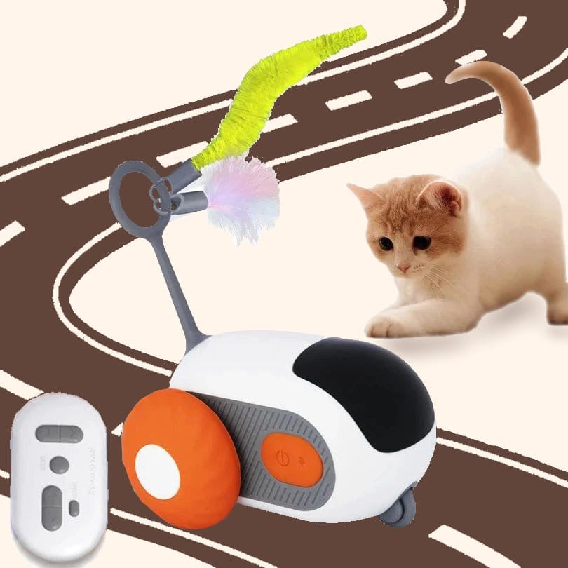 Smart Interactive Cat Toy